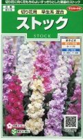 送料無料　花の種　ストック　切り花用　早生系混合　約40粒　(株)サカタのタネ　実咲250（026252）