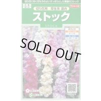 送料無料　花の種　ストック　切り花用　早生系混合　約40粒　(株)サカタのタネ　実咲250（026252）