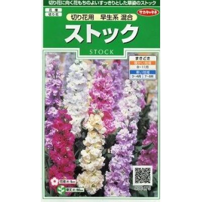 花の種 ストック 切り花用 早生系混合 小袋 サカタのタネ 花種 花種 小袋 秋まき グリーンロフトネモト直営