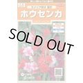 送料無料　花の種　ホウセンカ　カメリア咲き混合　約63粒　(株)サカタのタネ　実咲200（026356）