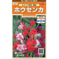 花の種　ホウセンカ　カメリア咲き混合　約63粒　サカタのタネ（株）実咲200