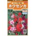 画像1: 花の種　ホウセンカ　カメリア咲き混合　約63粒　サカタのタネ（株）実咲200 (1)
