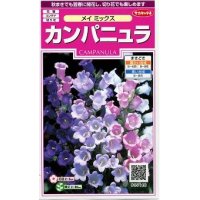 花の種　カンパニュラ　メイミックス　約62粒　　サカタのタネ（株）実咲350