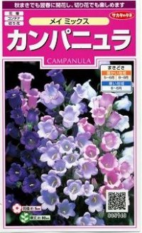 花の種　カンパニュラ　メイミックス　約62粒　　サカタのタネ