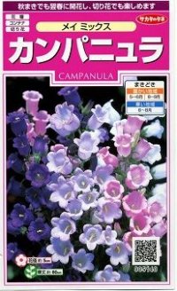 花の種　カンパニュラ　メイミックス　約62粒　　サカタのタネ（株）実咲350