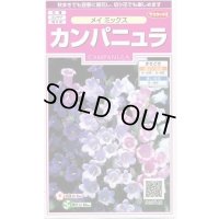 送料無料　花の種　カンパニュラ　メイミックス　約62粒　　(株)サカタのタネ　実咲350（026097）