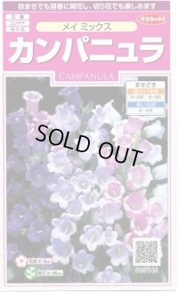 送料無料　花の種　カンパニュラ　メイミックス　約62粒　　(株)サカタのタネ　実咲350（026097）