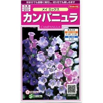 画像1: 花の種　カンパニュラ　メイミックス　約62粒　　サカタのタネ（株）実咲350
