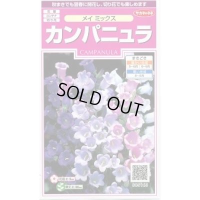 画像1: 花の種 カンパニュラ メイミックス 約65粒 (株)サカタのタネ 実咲350(026097)
