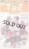 送料無料　花の種　千日紅　切り花用混合　約45粒　(株)サカタのタネ　実咲200（026339）
