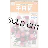 送料無料　花の種　千日紅　切り花用混合　約45粒　(株)サカタのタネ　実咲200（026339）