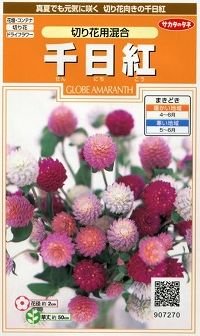 花の種　千日紅　切り花用混合　約45粒　サカタのタネ（株）実咲200