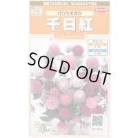 送料無料　花の種　千日紅　切り花用混合　約45粒　(株)サカタのタネ　実咲200（026339）