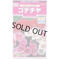 送料無料　花の種　ゴデチャ　ジューンミックス　0.1ml　　(株)サカタのタネ　実咲350（026111）