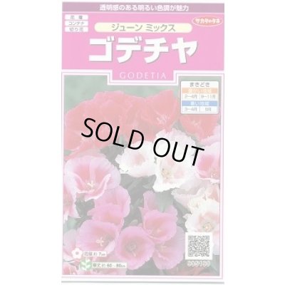 画像1: 花の種 ゴデチャ ジューンミックス 0.1ml (株)サカタのタネ 実咲350(026111)