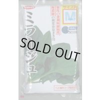 [ほうれんそう] ミラージュ 種子サイズ：M 3万粒 （株）サカタのタネ