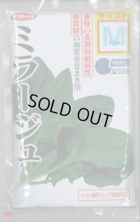 [ほうれんそう] ミラージュ 種子サイズ：M 3万粒 （株）サカタのタネ