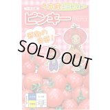 送料無料　[トマト/ミニトマト]　ピンキー　15粒　ナント種苗(株)