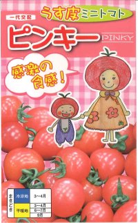 [トマト/ミニトマト]　ピンキー　15粒　ナント種苗（株）