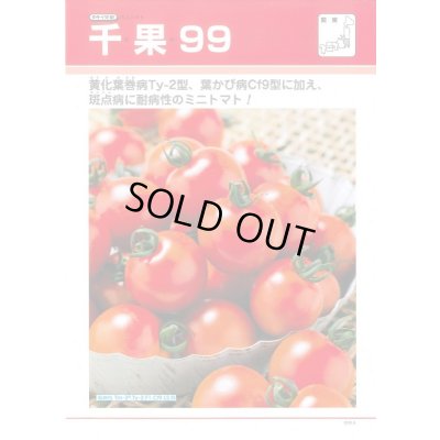 画像2: 送料無料　[トマト/ミニトマト]　千果99　1000粒　タキイ種苗(株)