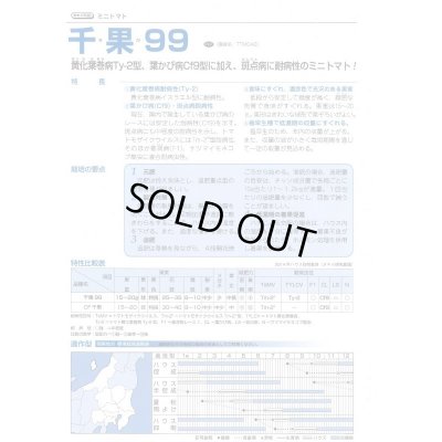 画像3: 送料無料　[トマト/ミニトマト]　千果99　12粒　タキイ種苗(株)　DF