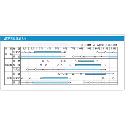 画像3: [トマト/マウロの地中海トマト]　プチポンロッソ　8粒