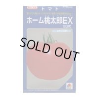 送料無料　[トマト/桃太郎系]　ホーム桃太郎ＥＸ　1000粒　タキイ種苗(株)