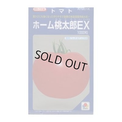 画像1: 送料無料　[トマト/桃太郎系]　ホーム桃太郎ＥＸ　1000粒　タキイ種苗(株)