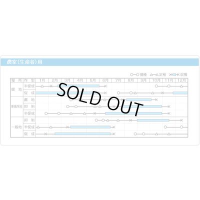 画像8: 送料無料　[トマト/マウロの地中海トマト]　トスカーナバイオレット　100粒　サナテックシード（株）