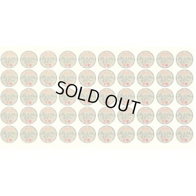 画像4: 送料無料　[トマト/ミニトマト]　プレミアムルビー　1000粒　カネコ種苗（株）