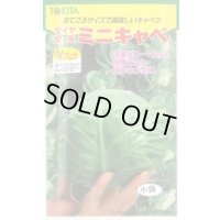 送料無料　[キャベツ]　ミニキャベ　20ml　トキタ種苗(株)