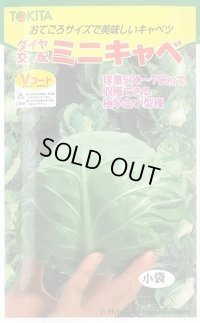 送料無料　[キャベツ]　ミニキャベ　20ml　トキタ種苗(株)