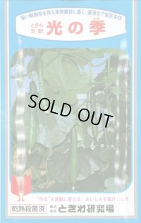 [キュウリ]　光の季　350粒　ときわ研究場