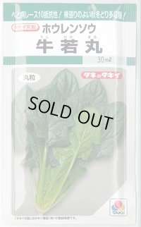 [ほうれんそう]　牛若丸　Ｍサイズ 3万粒　タキイ種苗（株）