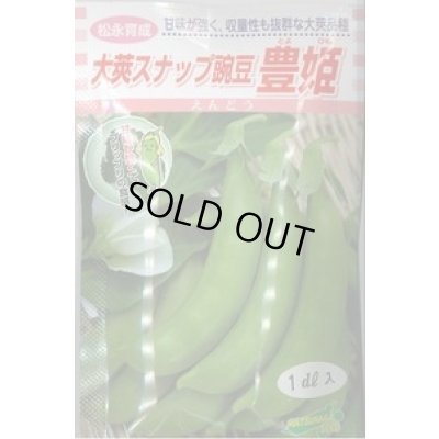 画像1: 送料無料　[豆類]　大莢豌豆　豊姫　20ml　松永種苗(株)
