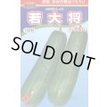 送料無料　[瓜類]　青はぐらうり　若大将　100粒　渡辺農事（株）