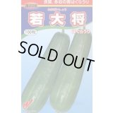 送料無料　[瓜類]　青はぐらうり　若大将　100粒　渡辺農事（株）