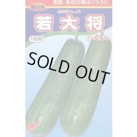 送料無料　[瓜類]　青はぐらうり　若大将　100粒　渡辺農事（株）