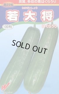 送料無料　[瓜類]　青はぐらうり　若大将　100粒　渡辺農事（株）