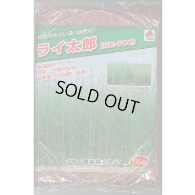 画像1: [緑肥] ライ麦 ライ太郎 1kg タキイ種苗(株)