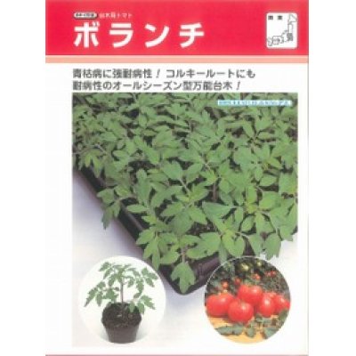 画像2: [台木/トマト用]　送料無料！　ボランチ　ペレット ２Ｌ 1000粒　タキイ種苗（株）