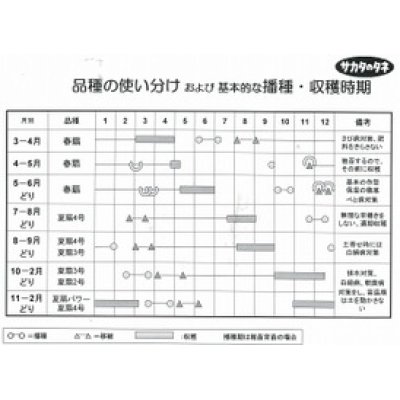 画像3: [ねぎ]　夏扇4号　1dl（裸種子）　(株） サカタのタネ