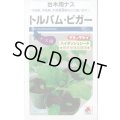 送料無料　[台木/ナス用]　トルバム・ビガー　1000粒　タキイ種苗