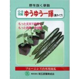 送料無料　[台木/キュウリ用]　ＯＳ交配ゆうゆう一輝(黒種)　20粒　埼玉原種育成会