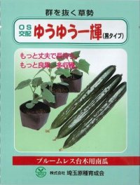 [台木/キュウリ用]　ＯＳ交配ゆうゆう一輝(黒種）　20粒　埼玉原種育成会