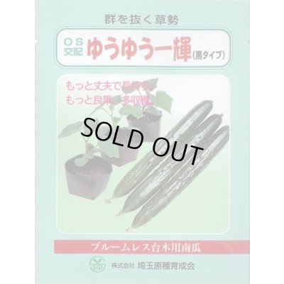 画像1: [台木/キュウリ用] ゆうゆう一輝(黒種) 20粒 （株）埼玉原種育成会