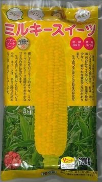 [とうもろこし]　ミルキースイーツ　2000粒　トキタ種苗（株）