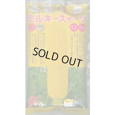画像1: [とうもろこし]　ミルキースイーツ　2000粒　トキタ種苗(株)