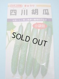 送料無料　[キュウリ]　四川胡瓜　12粒　カネコ種苗（株）