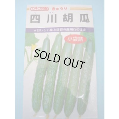画像1: 送料無料　[キュウリ]　四川胡瓜　12粒　カネコ種苗（株）